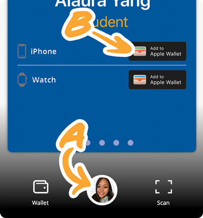 Preview of Apple Wallet steps
