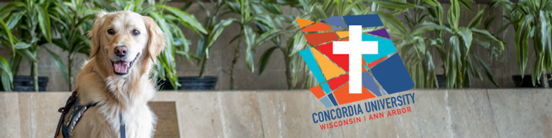 Concordia University